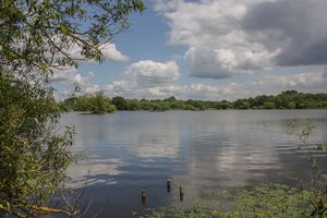 Photo 6- click for photo gallery